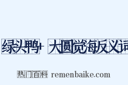 绿头鸭+大圆觉海反义词是什么意思的图片